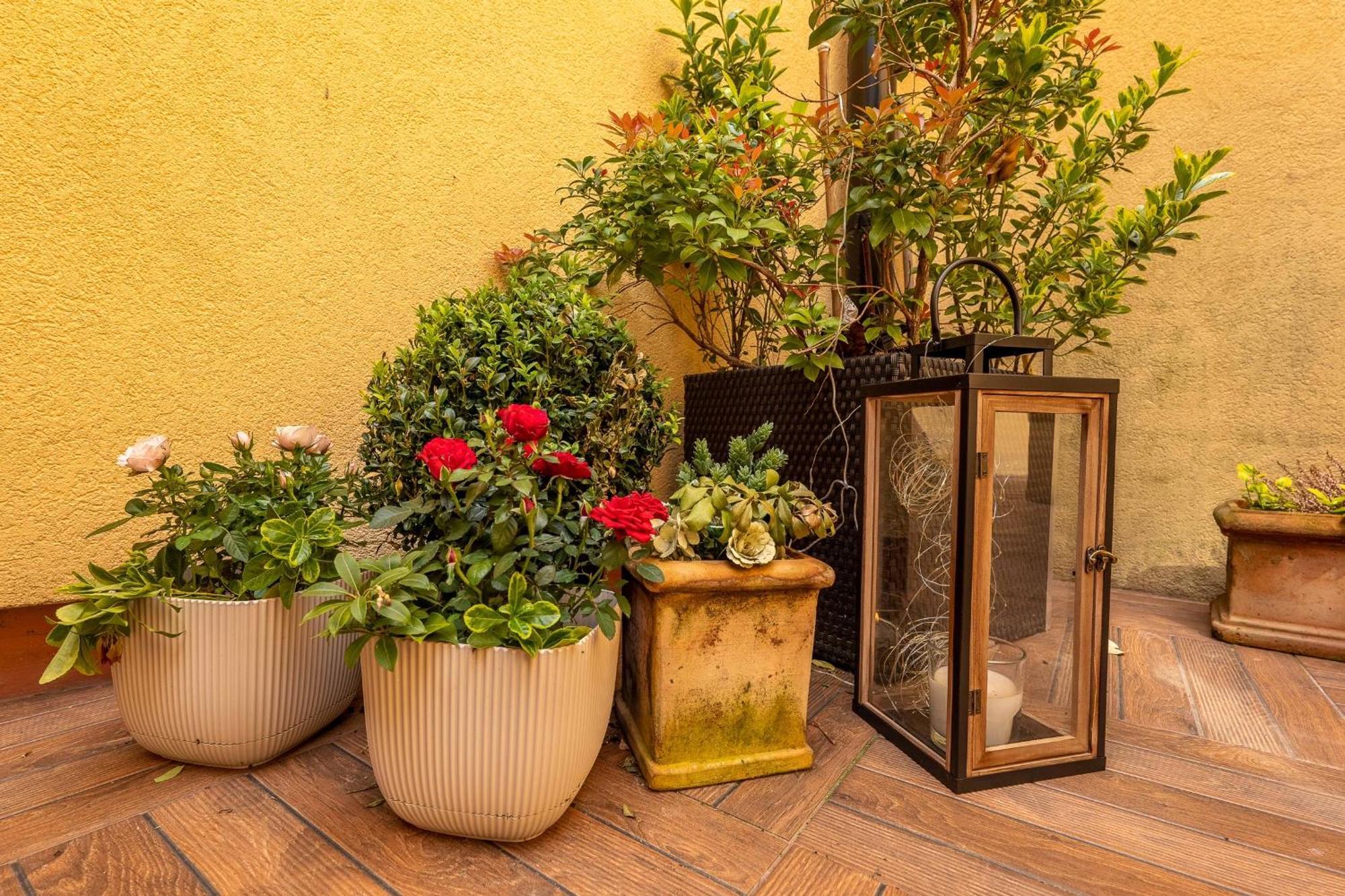 Ferienwohnung Dům u lázní Federer Třeboň Zimmer foto